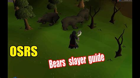 beaver osrs|where are bears located osrs.